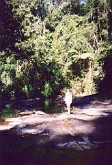 2001 - Australie B (11)